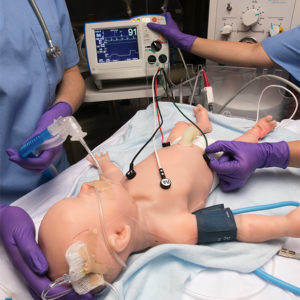 Advanced Life Support Archives - Anatomical Parts & Charts
